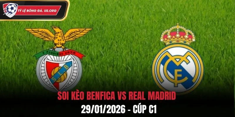 Soi Kèo Benfica Vs Real Madrid: 03h00 - 29/01/2026 – Cúp C1
